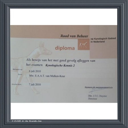 KK2-diploma