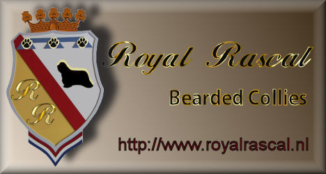 logo Royal Rascal